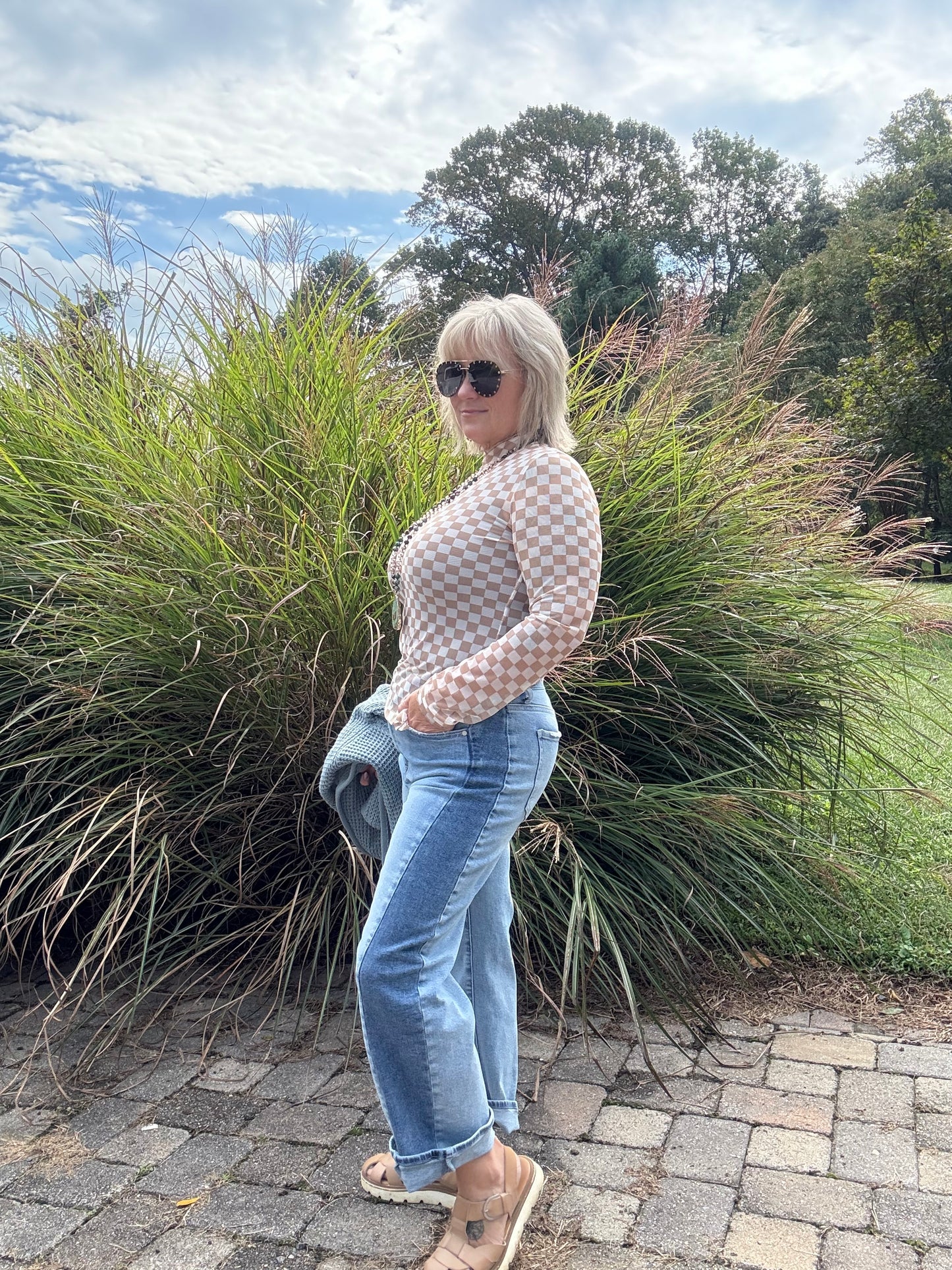 Check Me Out – Taupe & Beige Sheer Mesh Long Sleeve Top