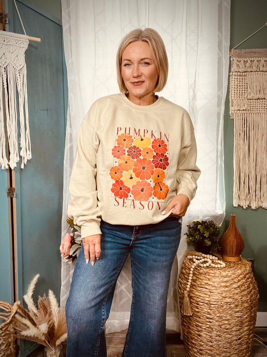 Pumpkin Season Fall ready crew neck pullover