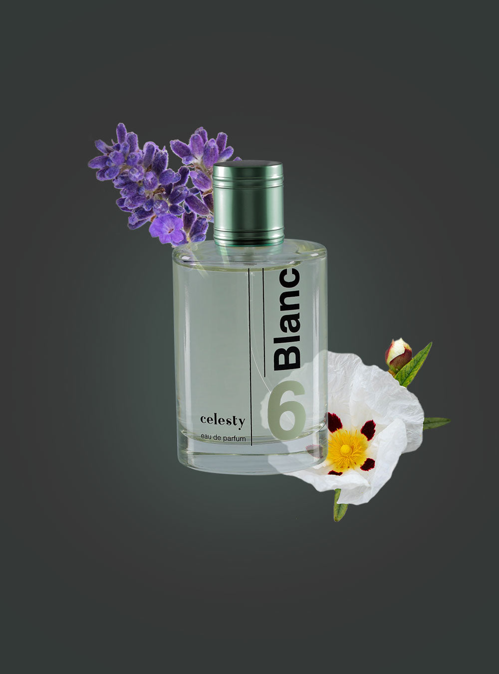 Blanc Cologne EDP - Celesty