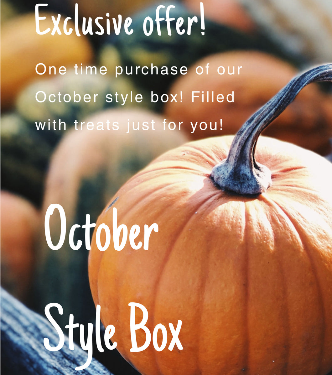 October Only - Style Box Special Buy